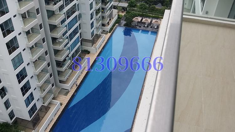 A Treasure Trove (D19), Condominium #91726482